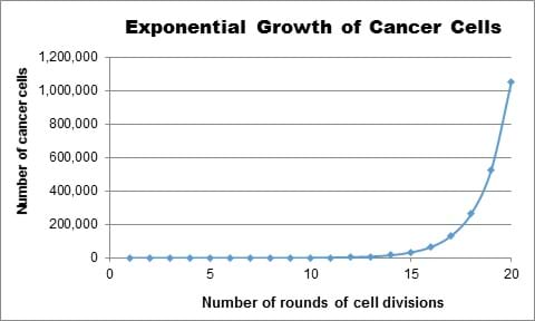 Cancer Cells