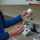 Cell Celebration Lesson Teachengineering Fighting Back