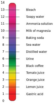 Red Cabbage Chemistry - Activity - www.teachengineering.org test ph scale diagram 